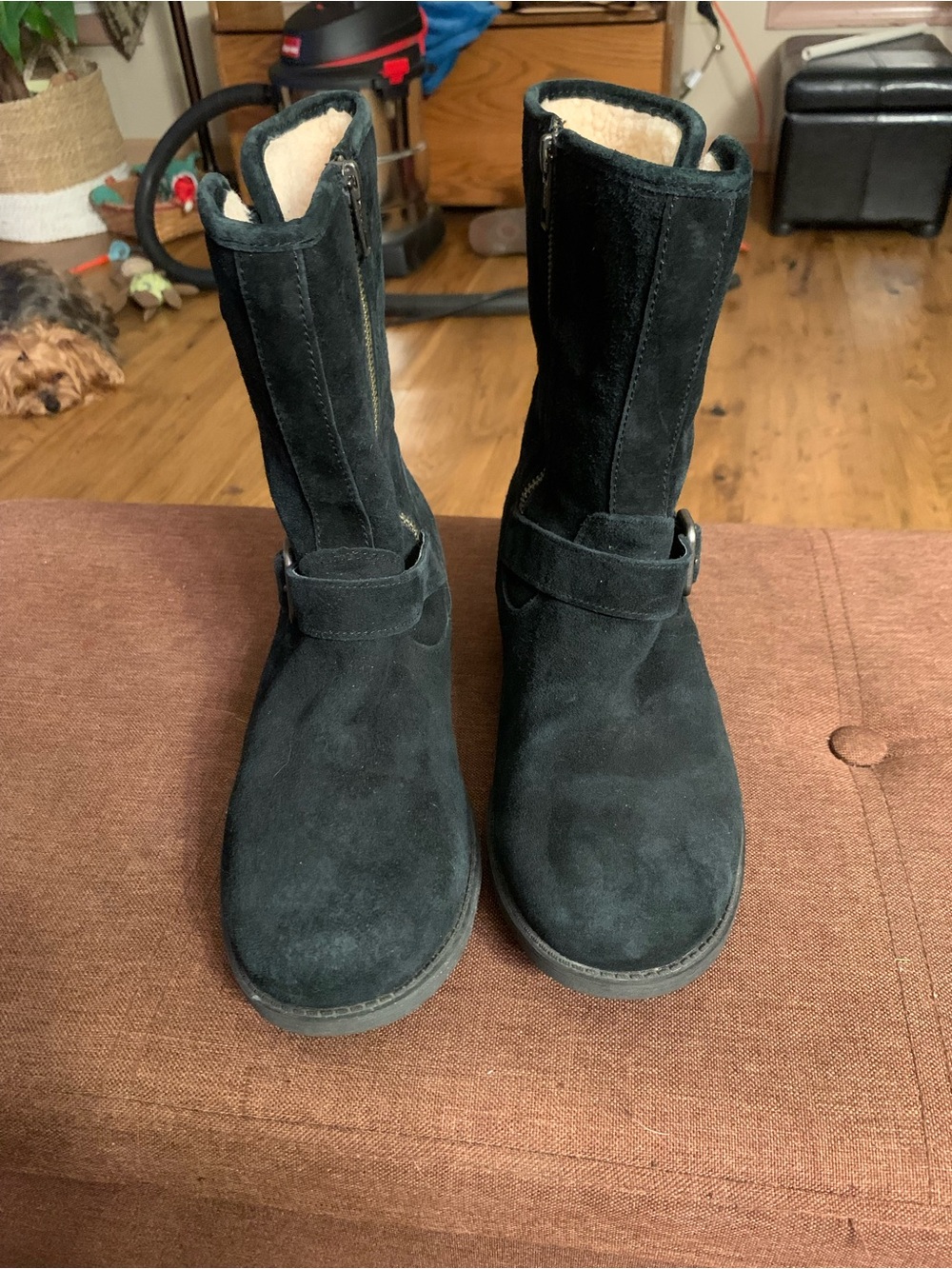 UGG Classic Women's Black Suede Mid-Calf Boot with Shearling Lining